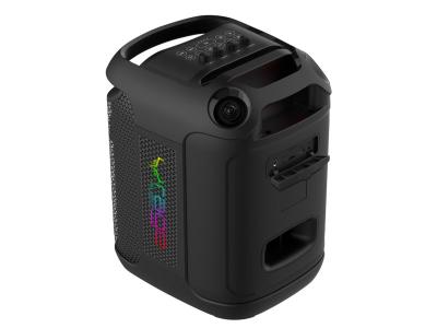 Rage 6.5" 120 watt Party Speaker with Wireless Microphone and Remote - BTSMC8