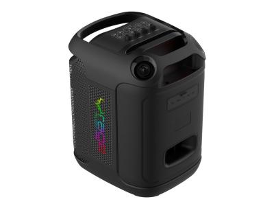 Rage 6.5" 120 watt Party Speaker with Wireless Microphone and Remote - BTSMC8