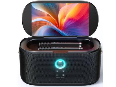 Ikarao Shell S1 Portable Karaoke Machine with 2 Wireless Mics