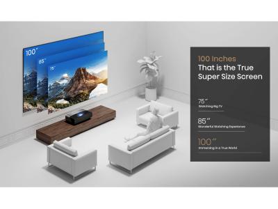 100" Hisense ALR Screen - DLT100-E