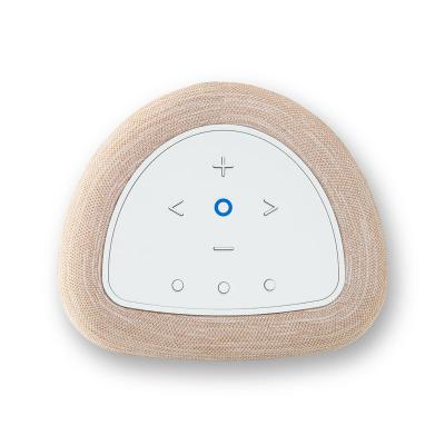 Bluesound PULSE FLEX Wireless All-In-One Music Streaming Speaker - P130TANUNV