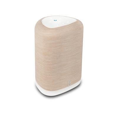 Bluesound PULSE FLEX Wireless All-In-One Music Streaming Speaker - P130TANUNV