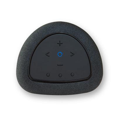 Bluesound PULSE FLEX Wireless All-In-One Music Streaming Speaker - P130BLKUNV
