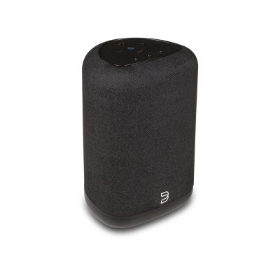 Bluesound PULSE FLEX Wireless All-In-One Music Streaming Speaker - P130BLKUNV