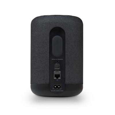 Bluesound PULSE FLEX Wireless All-In-One Music Streaming Speaker - P130BLKUNV
