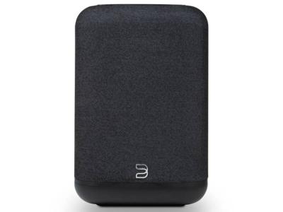 Bluesound PULSE FLEX Wireless All-In-One Music Streaming Speaker - P130BLKUNV