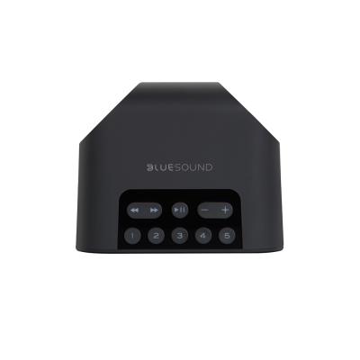Bluesound Portable Wireless Multi-Room Music Streaming Speaker - PULSE FLEX 2i (B)