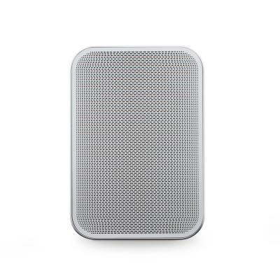 Bluesound Portable Wireless Multi-Room Music Streaming Speaker - PULSE FLEX 2i (W)