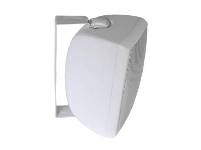 Thunder 2 Way Weather Resistant Speaker in White - CA4200W