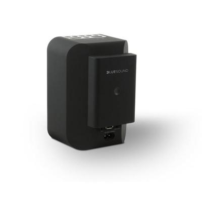 Bluesound Pluse Flex Wire-Free Battery Pack in Black - BP100B