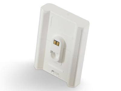 Bluesound Pluse Flex Wire-Free Battery Pack in White - BP100W