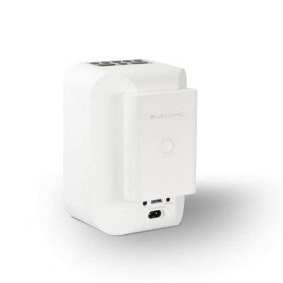 Bluesound Pluse Flex Wire-Free Battery Pack in White - BP100W