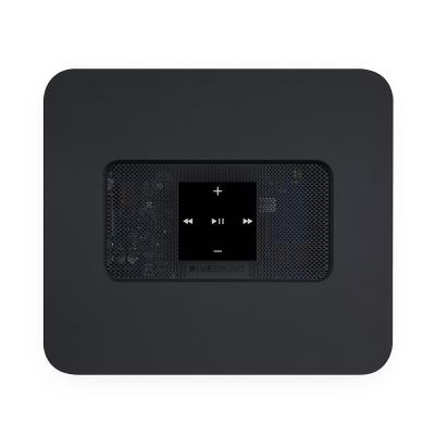 Bluesound High-Res 2TB Network Hard Drive CD Ripper and Audio Streamer - VAULT 2i (B)