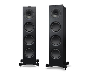 Floor Standing Speakers