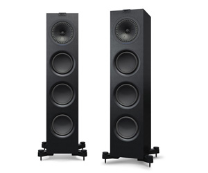 Floor Standing Speakers