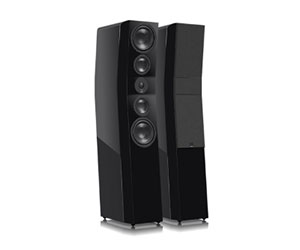 Floor Standing Speakers
