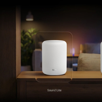 Wireless Speakers