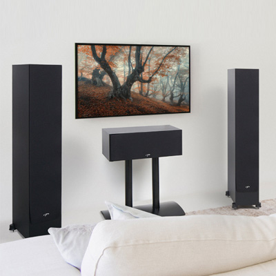 Floor Standing Speakers
