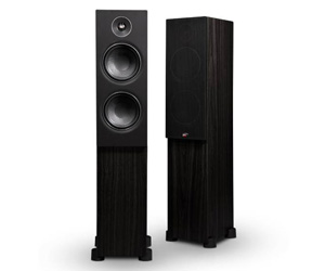 Floor Standing Speakers